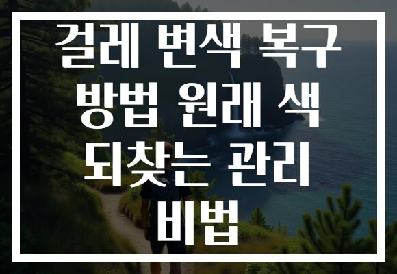 걸레 변색 복구 방법 원래 색 되찾는 관리 비법