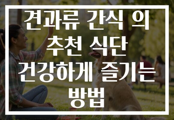 견과류 간식 의 추천 식단 건강하게 즐기는 방법