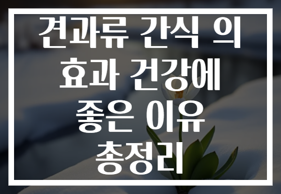견과류 간식 의 효과 건강에 좋은 이유 총정리