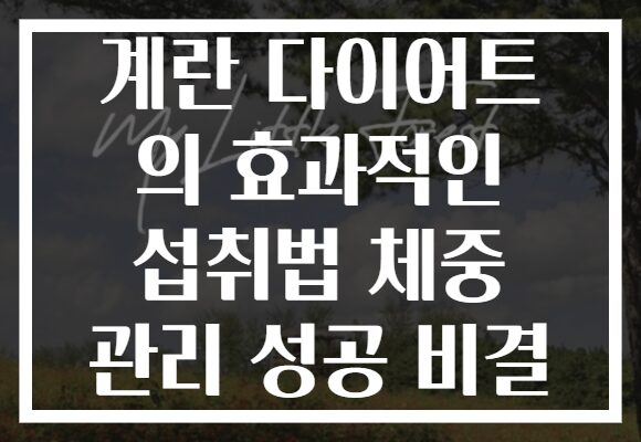 계란 다이어트 의 효과적인 섭취법 체중 관리 성공 비결