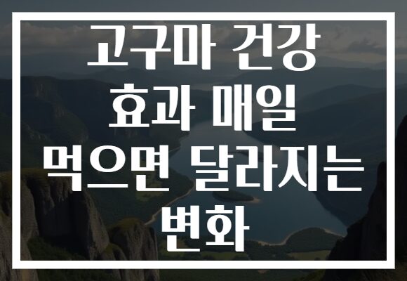 고구마 건강 효과 매일 먹으면 달라지는 변화