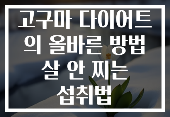 고구마 다이어트 의 올바른 방법 살 안 찌는 섭취법