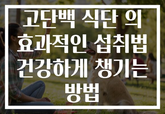 고단백 식단 의 효과적인 섭취법 건강하게 챙기는 방법