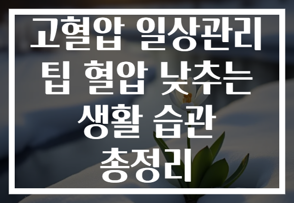 고혈압 일상관리 팁 혈압 낮추는 생활 습관 총정리