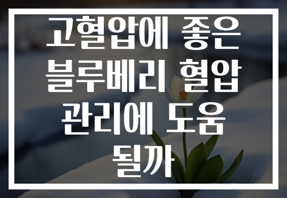 고혈압에 좋은 블루베리 혈압 관리에 도움 될까