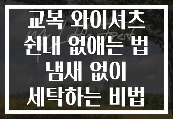 교복 와이셔츠 쉰내 없애는 법 냄새 없이 세탁하는 비법