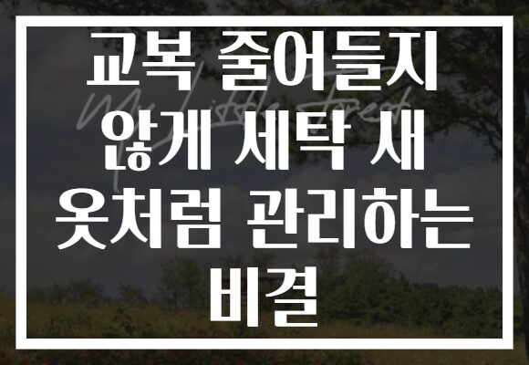 교복 줄어들지 않게 세탁 새 옷처럼 관리하는 비결