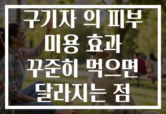 구기자 의 피부 미용 효과 꾸준히 먹으면 달라지는 점