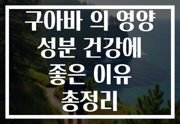 구아바 의 영양 성분 건강에 좋은 이유 총정리