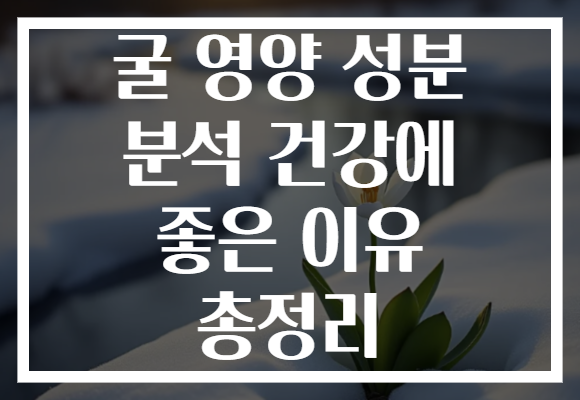 굴 영양 성분 분석 건강에 좋은 이유 총정리