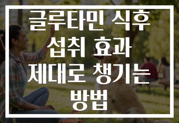 글루타민 식후 섭취 효과 제대로 챙기는 방법