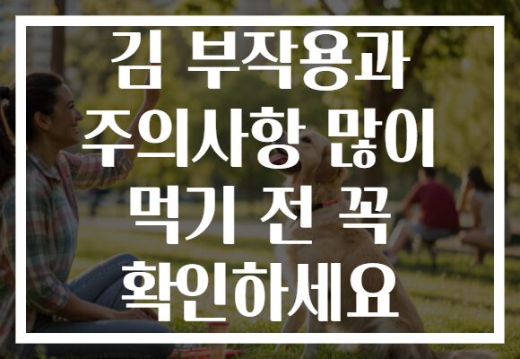 김 부작용과 주의사항 많이 먹기 전 꼭 확인하세요