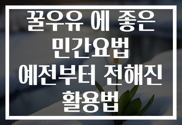 꿀우유 에 좋은 민간요법 예전부터 전해진 활용법