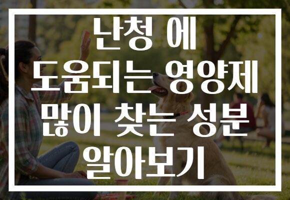 난청 에 도움되는 영양제 많이 찾는 성분 알아보기