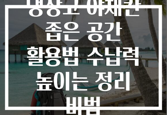 냉장고 야채칸 좁은 공간 활용법 수납력 높이는 정리 비법