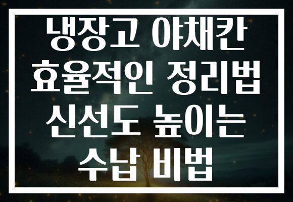 냉장고 야채칸 효율적인 정리법 신선도 높이는 수납 비법