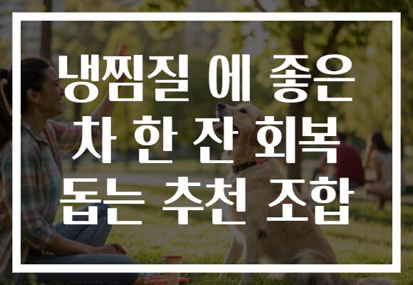 냉찜질 에 좋은 차 한 잔 회복 돕는 추천 조합