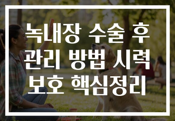 녹내장 수술 후 관리 방법 시력 보호 핵심정리