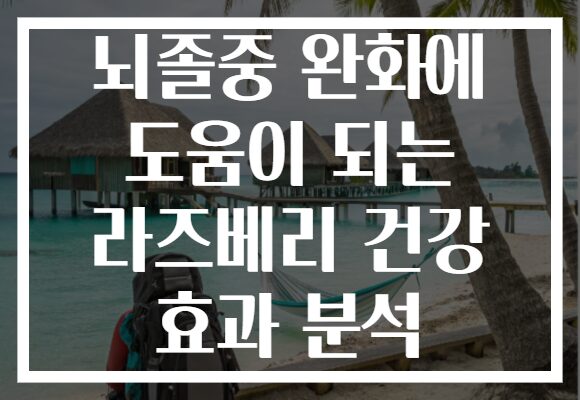 뇌졸중 완화에 도움이 되는 라즈베리 건강 효과 분석