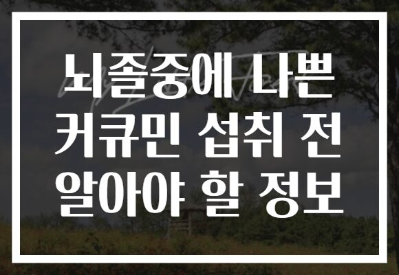 뇌졸중에 나쁜 커큐민 섭취 전 알아야 할 정보