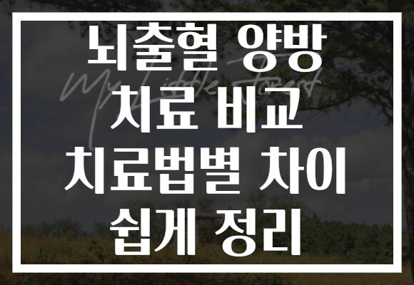 뇌출혈 양방 치료 비교 치료법별 차이 쉽게 정리