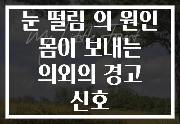 눈 떨림 의 원인 몸이 보내는 의외의 경고 신호