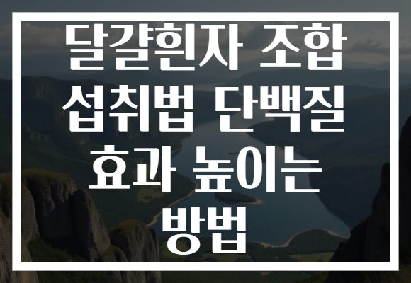 달걀흰자 조합 섭취법 단백질 효과 높이는 방법