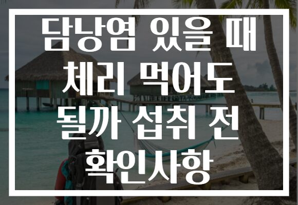 담낭염 있을 때 체리 먹어도 될까 섭취 전 확인사항