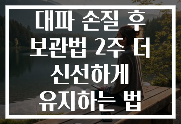 대파 손질 후 보관법 2주 더 신선하게 유지하는 법