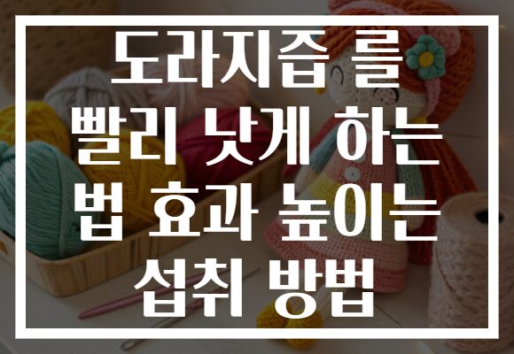도라지즙 를 빨리 낫게 하는 법 효과 높이는 섭취 방법