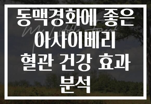 동맥경화에 좋은 아사이베리 혈관 건강 효과 분석