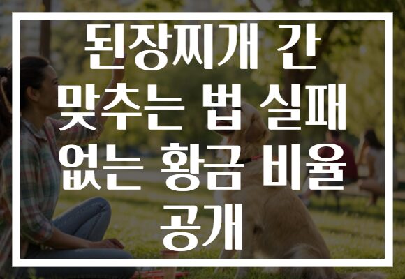 된장찌개 간 맞추는 법 실패 없는 황금 비율 공개