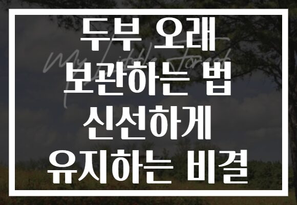 두부 오래 보관하는 법 신선하게 유지하는 비결
