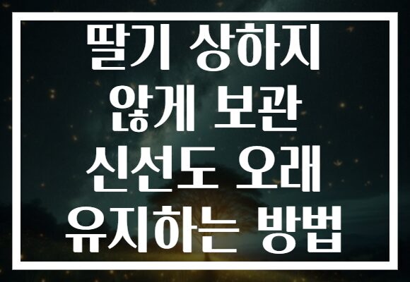 딸기 상하지 않게 보관 신선도 오래 유지하는 방법
