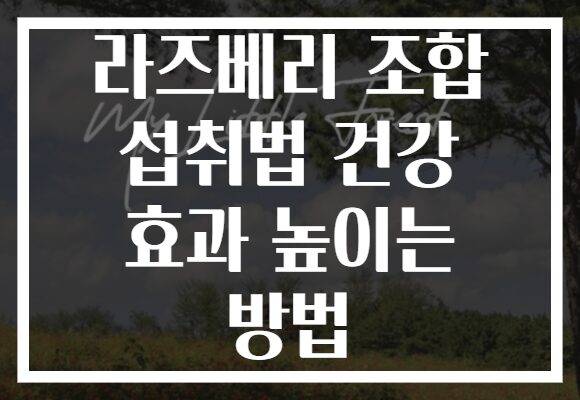 라즈베리 조합 섭취법 건강 효과 높이는 방법