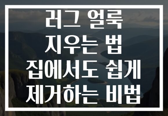 러그 얼룩 지우는 법 집에서도 쉽게 제거하는 비법