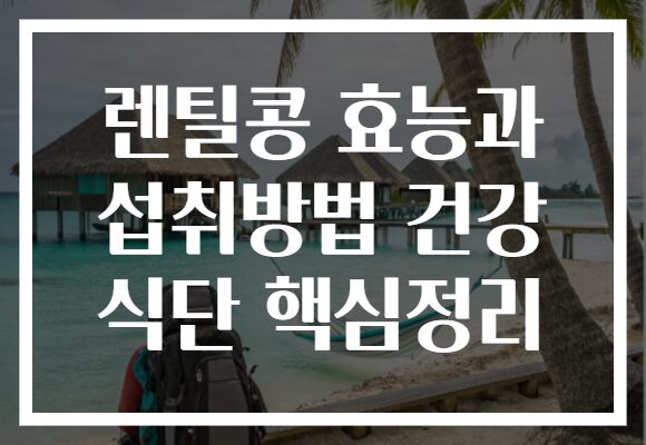 렌틸콩 효능과 섭취방법 건강 식단 핵심정리