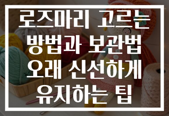 로즈마리 고르는 방법과 보관법 오래 신선하게 유지하는 팁