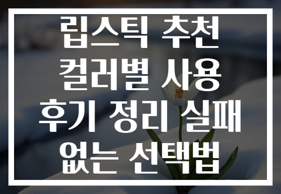 립스틱 추천 컬러별 사용 후기 정리 실패 없는 선택법