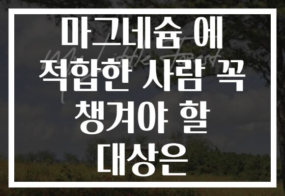 마그네슘 에 적합한 사람 꼭 챙겨야 할 대상은