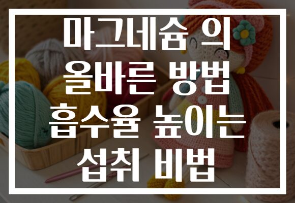 마그네슘 의 올바른 방법 흡수율 높이는 섭취 비법
