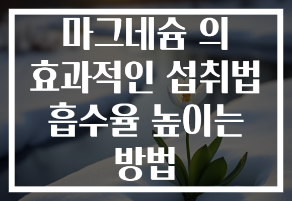 마그네슘 의 효과적인 섭취법 흡수율 높이는 방법