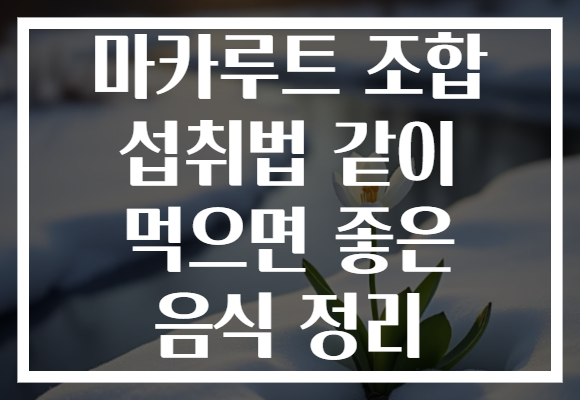 마카루트 조합 섭취법 같이 먹으면 좋은 음식 정리