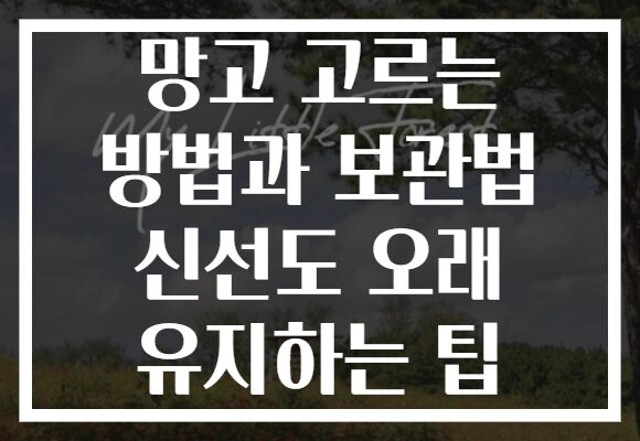 망고 고르는 방법과 보관법 신선도 오래 유지하는 팁