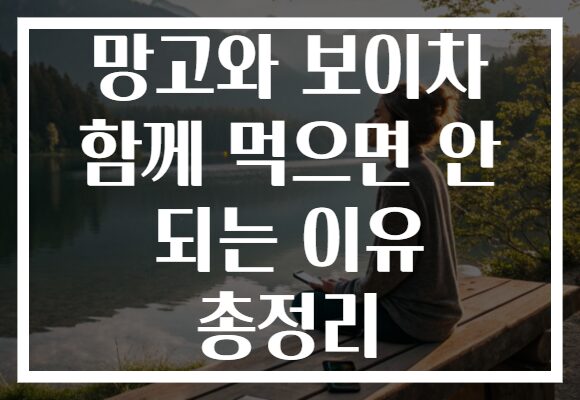 망고와 보이차 함께 먹으면 안 되는 이유 총정리