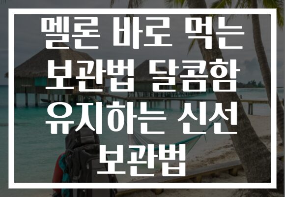 멜론 바로 먹는 보관법 달콤함 유지하는 신선 보관법