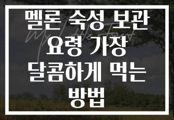 멜론 숙성 보관 요령 가장 달콤하게 먹는 방법