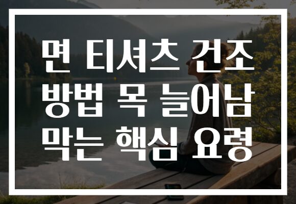 면 티셔츠 건조 방법 목 늘어남 막는 핵심 요령
