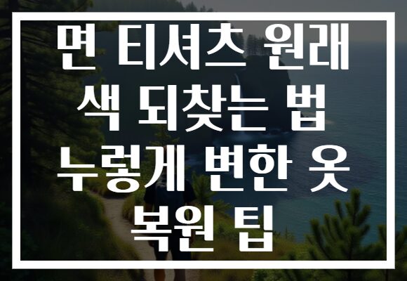 면 티셔츠 원래 색 되찾는 법 누렇게 변한 옷 복원 팁