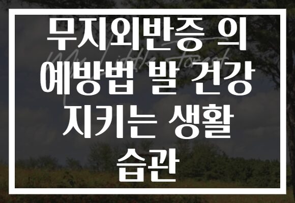 무지외반증 의 예방법 발 건강 지키는 생활 습관